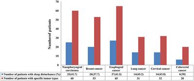 Evaluation of Subjective Sleep Disturbances in Cancer Patients: A Cross-Sectional Study in a Radiotherapy Department